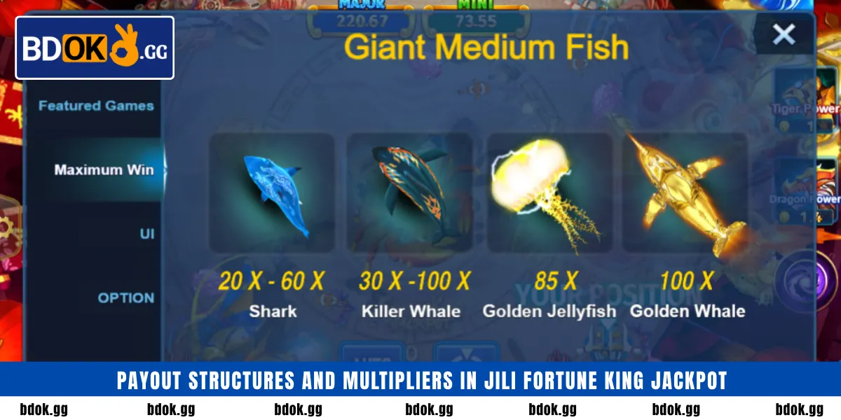 Payout structures and multipliers in Jili Fortune King Jackpot