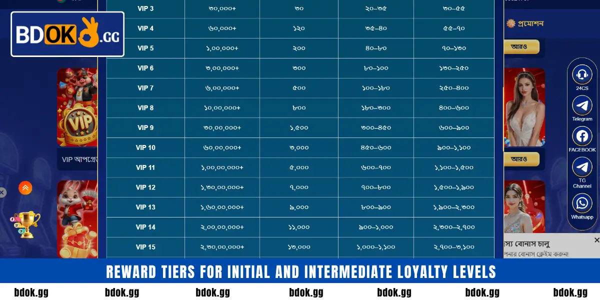 Reward tiers for initial and intermediate loyalty levels